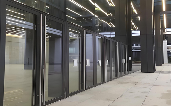 镇坪玻璃地弹门